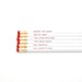 Mostly Dead Wrestlers Pencil Set