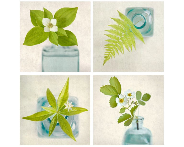 8x8 Photograph Set, Botanical Prints, Flower Photography, Fine Art Photography, Green & Teal Still Life Photos, Fern Art, Floral Art