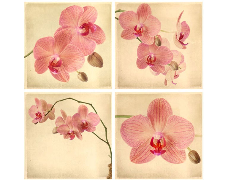 8x8 Art Print Set, Orchid Flower Photography, Pink Orchid Art, Floral Fine Art Prints, Pink Flower Wall Decor, Mauve Dusty Pink Blossom