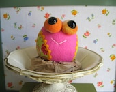 colorful Baby Owl in Nest