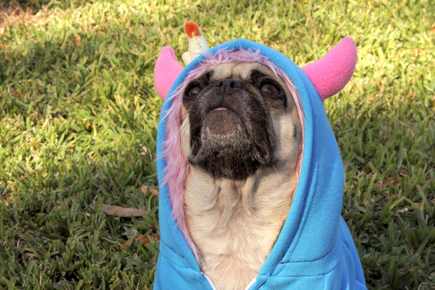 Customize Your Dog  Monster Hoodie - Pet - monster hoodie, horned sweatshirt, custom jacket