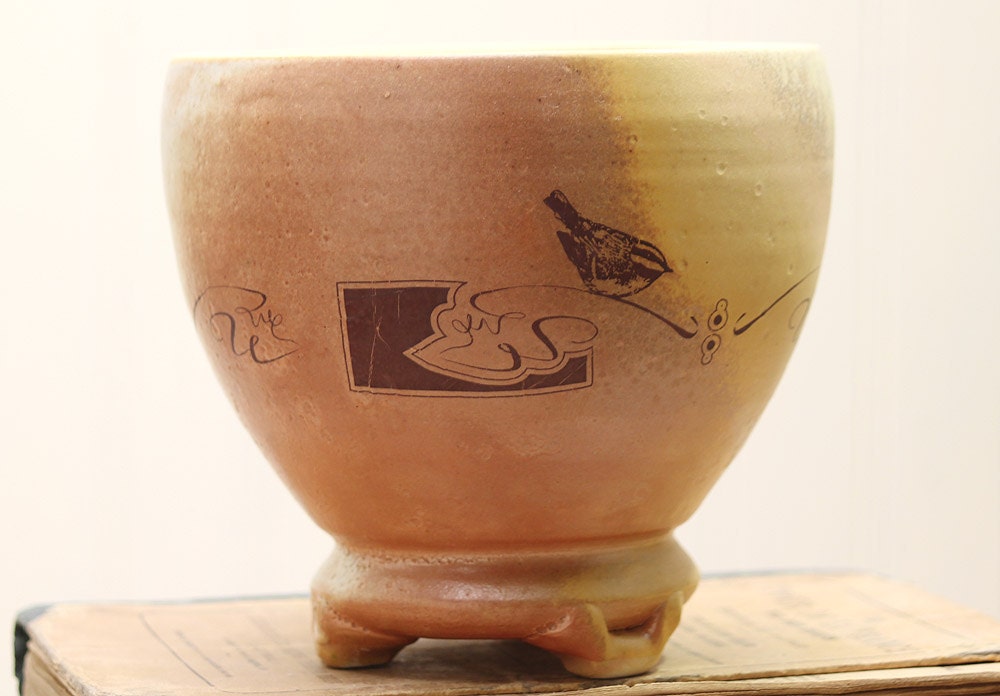 Soup Bowl - Bird Drawing