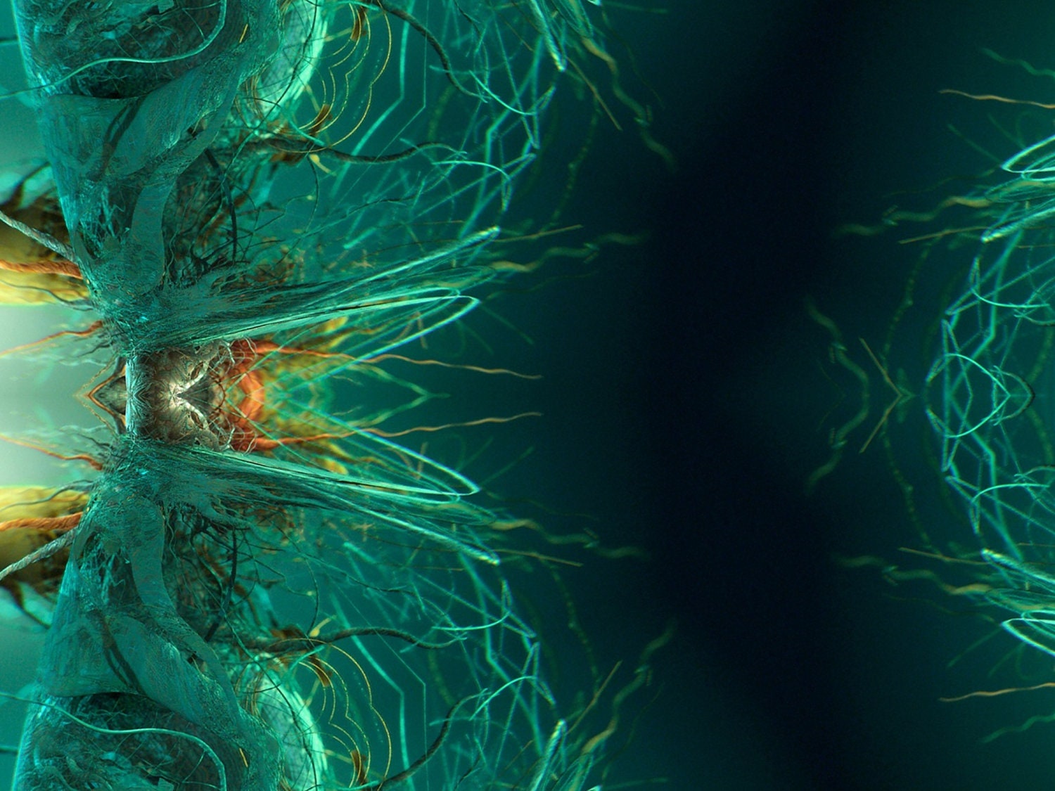 Desktop Wallpaper Unravelled 1