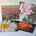 Flower Note Cards, Blank Note Cards, Set of 4 Note Cards, Photo Note Cards, Floral Photo Cards, Greeting Cards, All Occasion Cards,