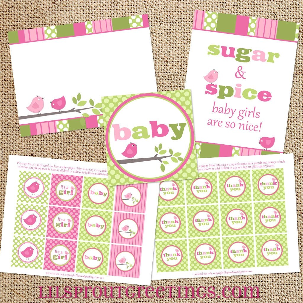 Shabby Bird Girl Baby Shower Printable Decorations