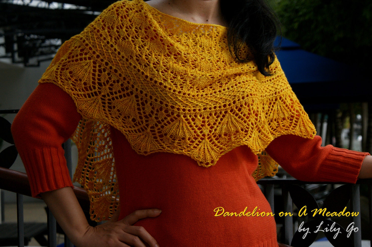Dandelion on A Meadow Knitting Shawl Kit (PDF Pattern and Yarn) - Large Size (2 skeins) FREE SHIPPING
