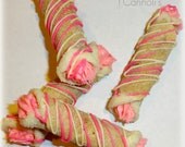 Laineys Strawberry Cannoli