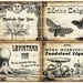 Witch Wine Labels 4x5 digital collage sheet set for potions Halloween dinner parties party decorations postcard mail art wine bottle label