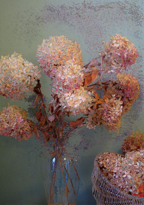 Hydrangea Vase Digital Art Print, Fine Art Photography,  Home Decor, 12x17 Giclee Print, EBSQ