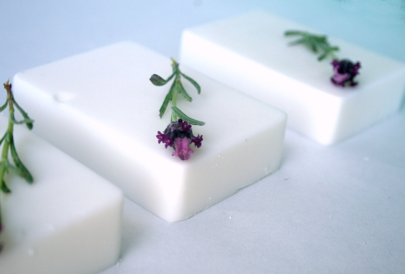 Bedtime Bath Coconut Milk Soap VEGAN