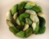 Forest Canopy Hand-Dyed Superwash BFL Top 5 oz.