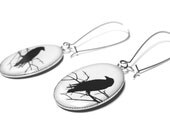 The Raven - Edgar Allan Poe Style Bird Black Crow Silver Plated Resin Dangle Earrings Goth