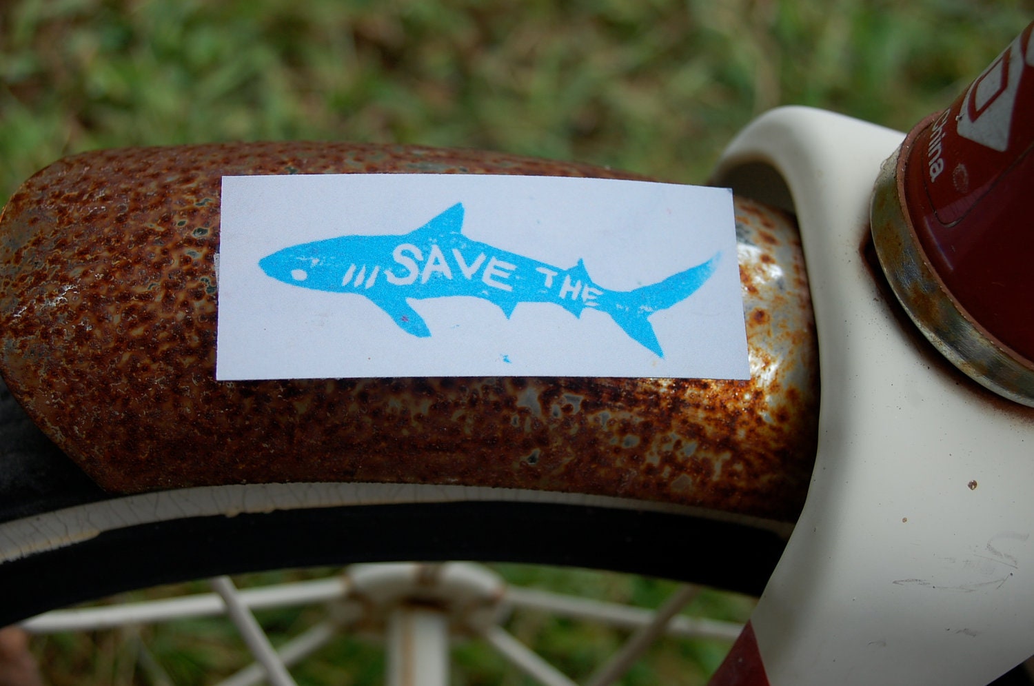 Save The Sharks magnet