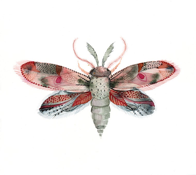 Moth- Fuschia, Red, Pink and Blue archival print of watercolor, minimalist