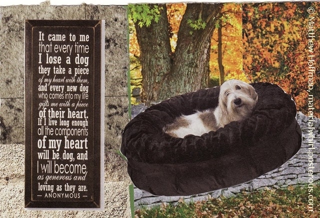 paper collage art - dog collage - It Came to Me - original mixed media OOAK 6x4 from recycled materials