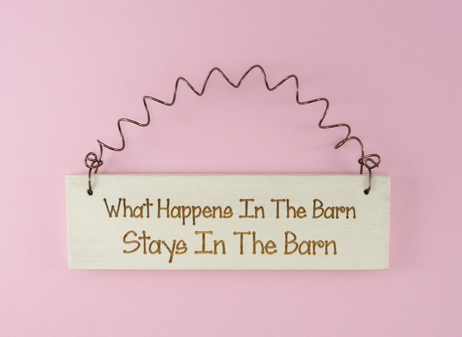 MINI SIGN- What Happens In The Barn Stays In The Barn - Cute Home Decor Handpainted Laser Engraved Funny Whimsical Humorous Farm Country - CraftCreationsEtsy