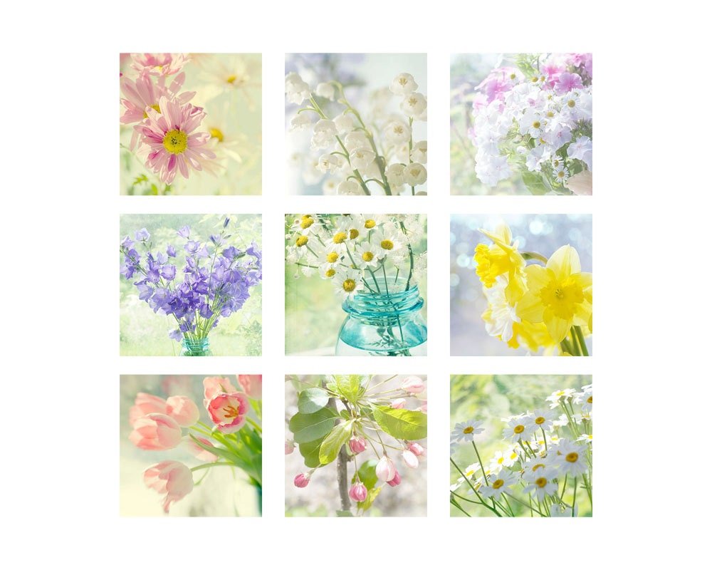 9 Flower Photographs Set, Still Life, Nature Photography,  Shabby Chic  Wall Decor, Floral Art Prints,