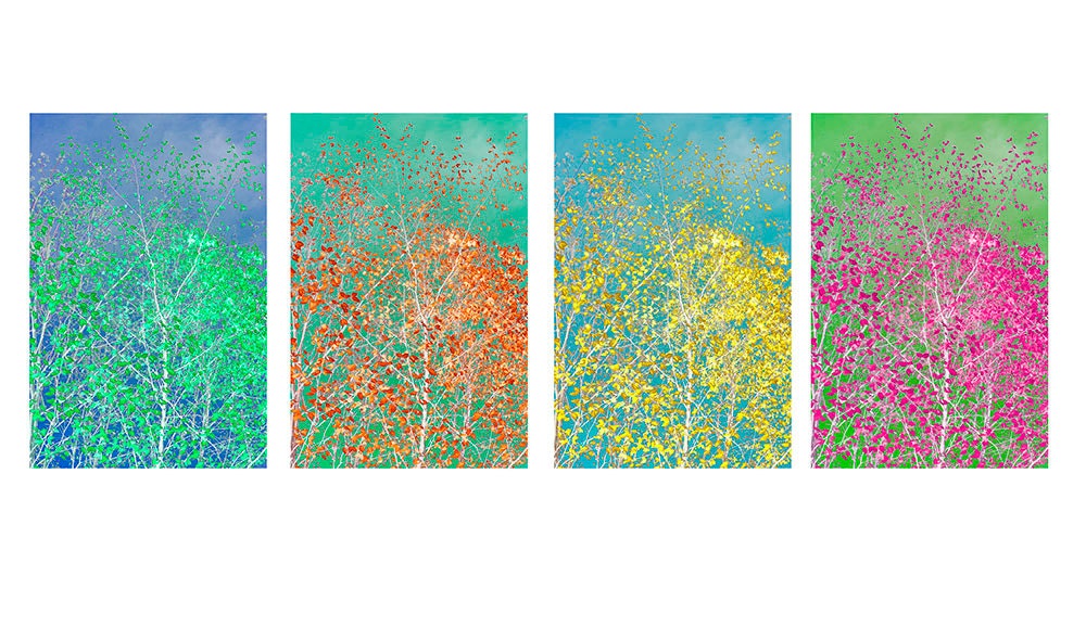 Fall Decor Four Autumn Tree Prints, Sky Leaves  Tree Wall Decor,  Modern Home Decor