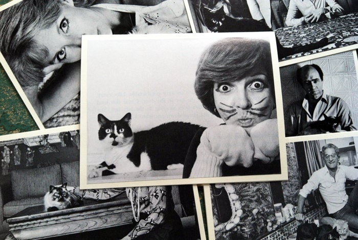 Cat People Note Cards - Set of 6