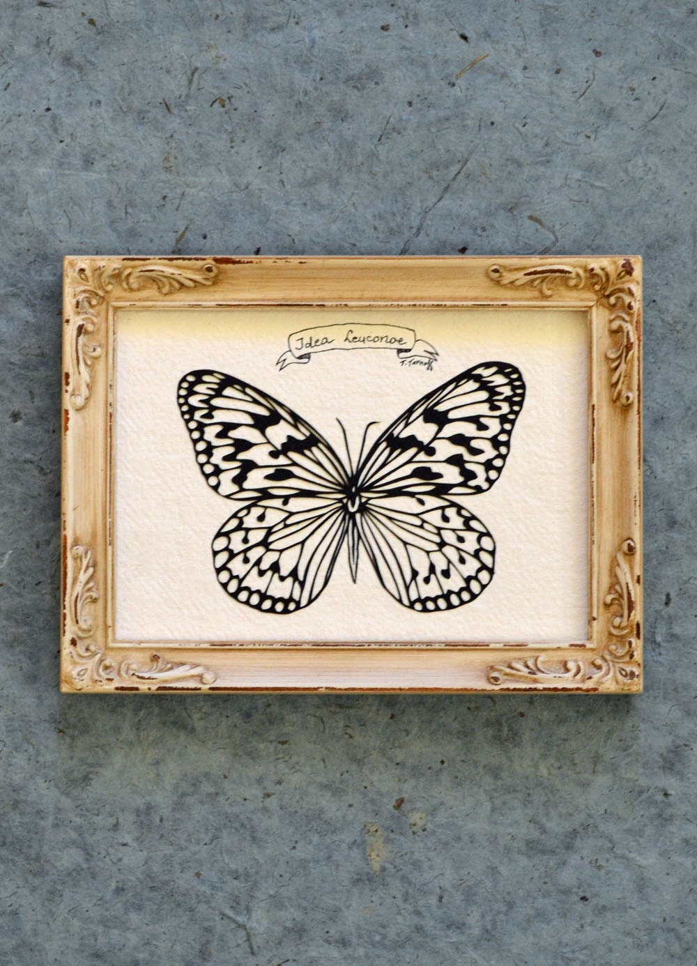 Tree Nymph Butterfly - Hand-Cut Silhouette Papercut, Framed