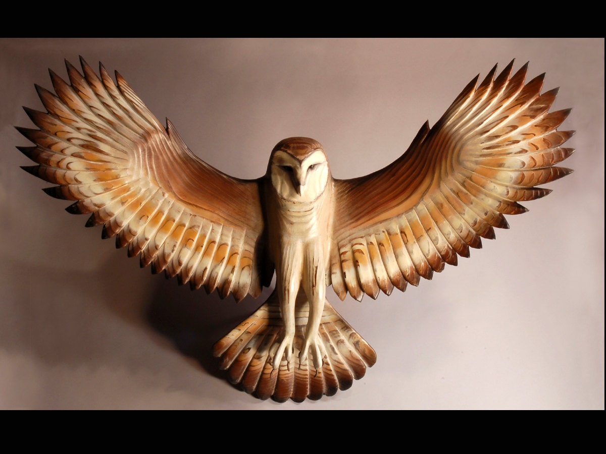 Barn Owl wood sculpture  Jason Tennant
