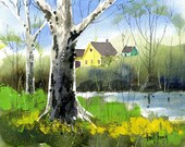 Sycamores-Print