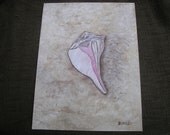 Seashell Painting 12" x 16" Acrylic Seashell Painting