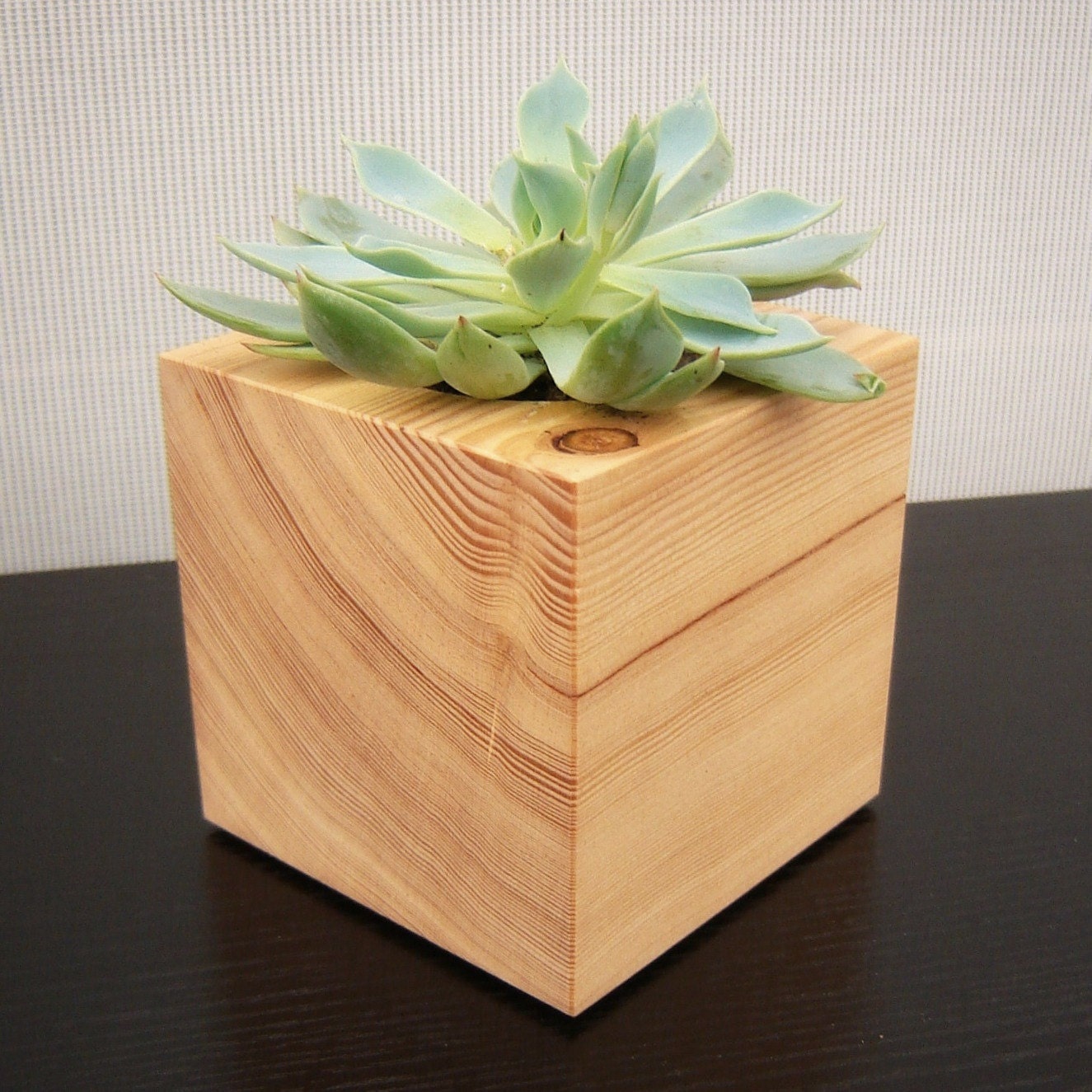 Cactus Planter, Cube Shaped, from Reclaimed Wood