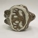 Awww Nuts Squirrel Shot Glass