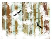 Winter Birds 11x14