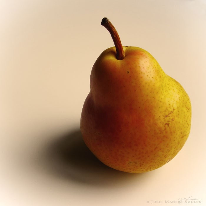 Pear Photo -Food Photographs -Fruit Print -Still Life Photography -Kitchen Decor -Gifts for Her -10x10 Square Colorado Fine Art Photograph