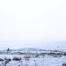 Minimalist Landscape Photography -Sports Photography -11x14 Print -Jogging Pictures -Gifts for Men -Colorado Fine Art Photography