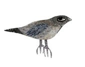 Single Bird no.2 - Digital illustration - Print