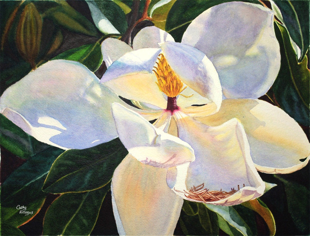 Magnolia Watercolor Painting Print by Cathy Hillegas, 11x14, watercolor floral, white, cream, blue, yellow, purple, orange, emerald