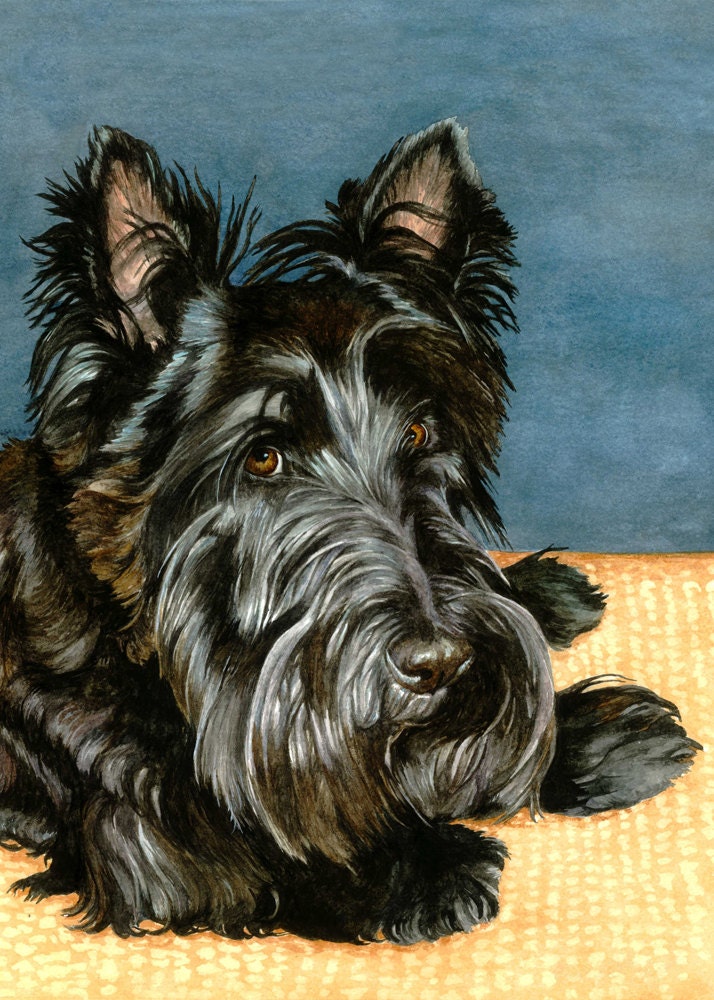 Scotty Dog 5 x 7 Watercolor Print by Cindy Day