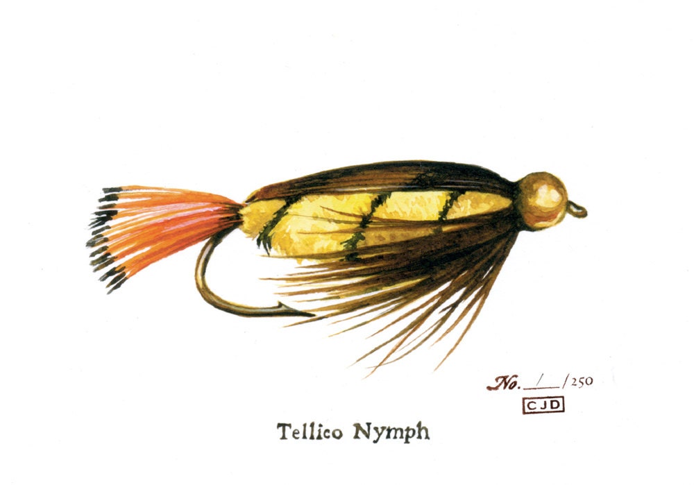 Fishing Fly - Tellico Nymph - 5 x 7 watercolor print by Cindy Day