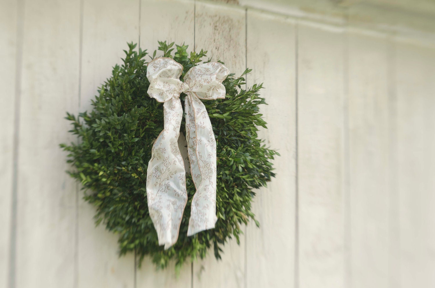 Fresh Virginia Boxwood Wreath, 14-16 Inch wreath, medium wreath, medium boxwood wreath, fresh wreath, christmas wreath