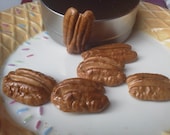 Pecan magnets 6pc Free shipping USA only