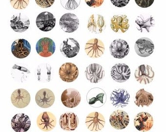 ocean animals Octopus Squid  fish digital collage sheet 1 INCH circles