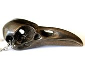 Black Raven Skull Necklace in Solid Oxidized White Bronze Bird Crow Skull