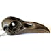 Black Raven Skull Necklace in Solid Oxidized White Bronze Bird Crow Skull