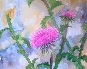 Thistles Against Rock, by Nan Henke a original watercolor painting 11x14