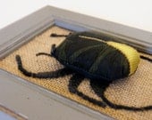 Framed Scarab Soft Sculpture  Fabric Beetle Black