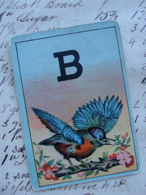 1800s Antique Beautiful Bird Images Lettered Flash Card for Altered Art