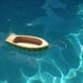 Green Star Pull Rowboat Water Toy