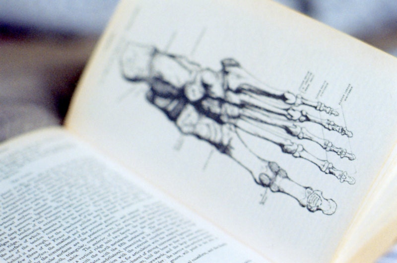 Gray's Anatomy. 8 x 12 book film photography