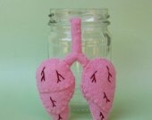 Specimen Jar Lungs Anatomical Curio