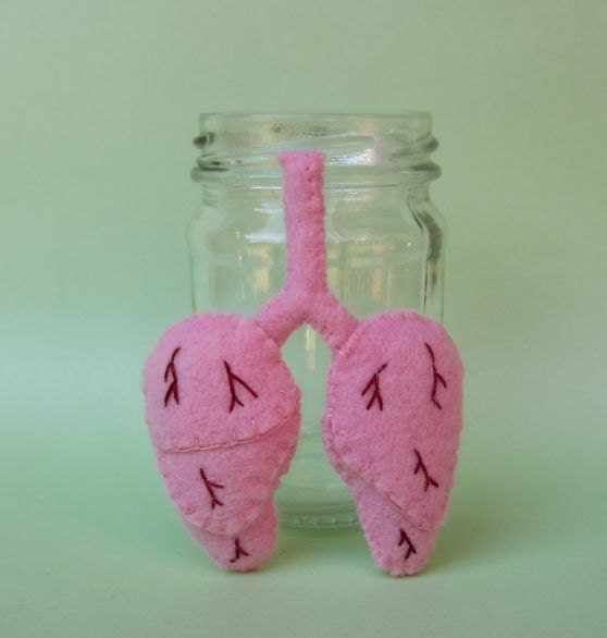 Specimen Jar Lungs Anatomical Curio
