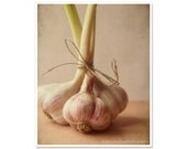 Food photography - Garlic photograph - 8x10 - farm market finds - autumn purple - rustic home decor - kitchen art print