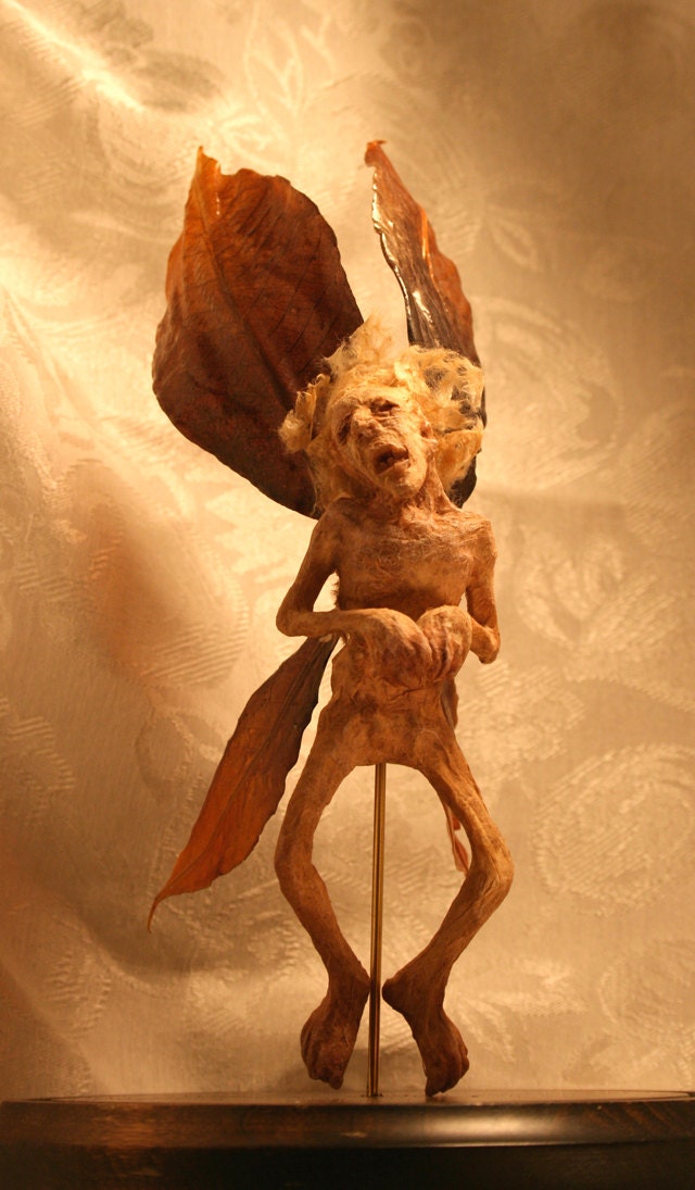 Momifié de Fées (Mummified Faerie)
